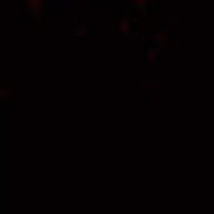 Meet your Posher, Terry